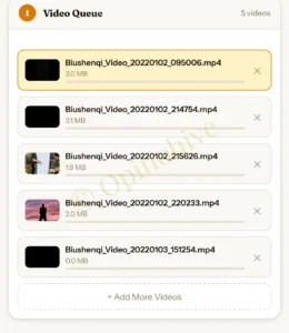 Batch watermarking multiple videos at once using Opinohive free batch video watermark online tool